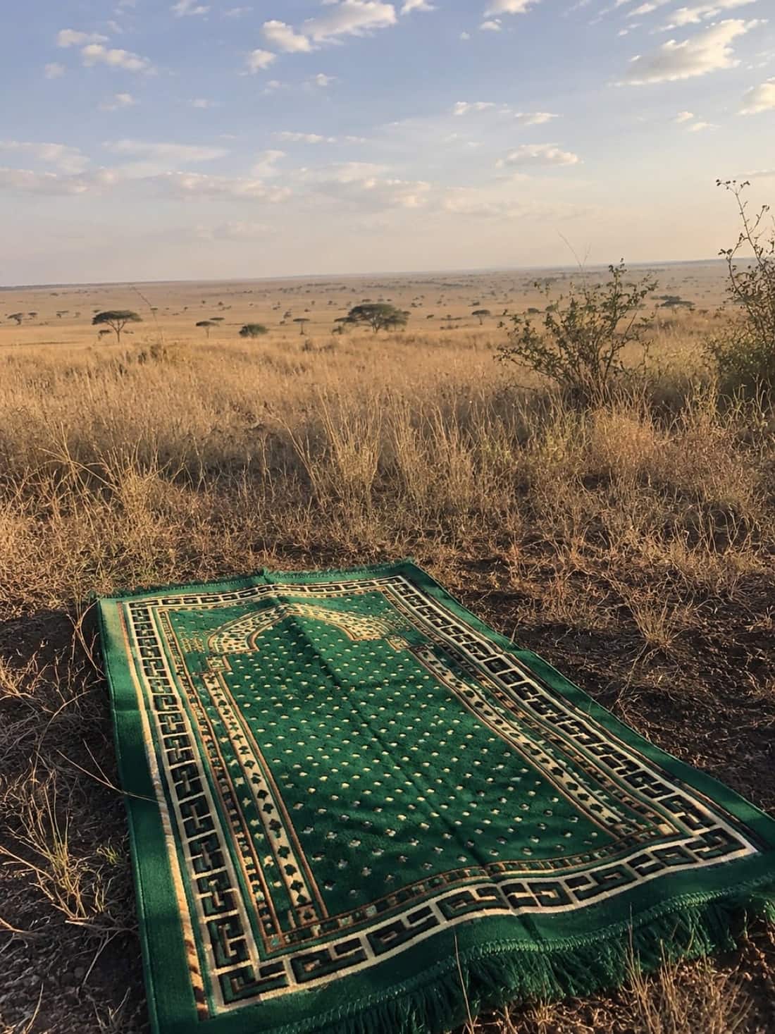 Green prayer mat laid out on the Serengeti grassland at golden hour, Tanzania halal safari