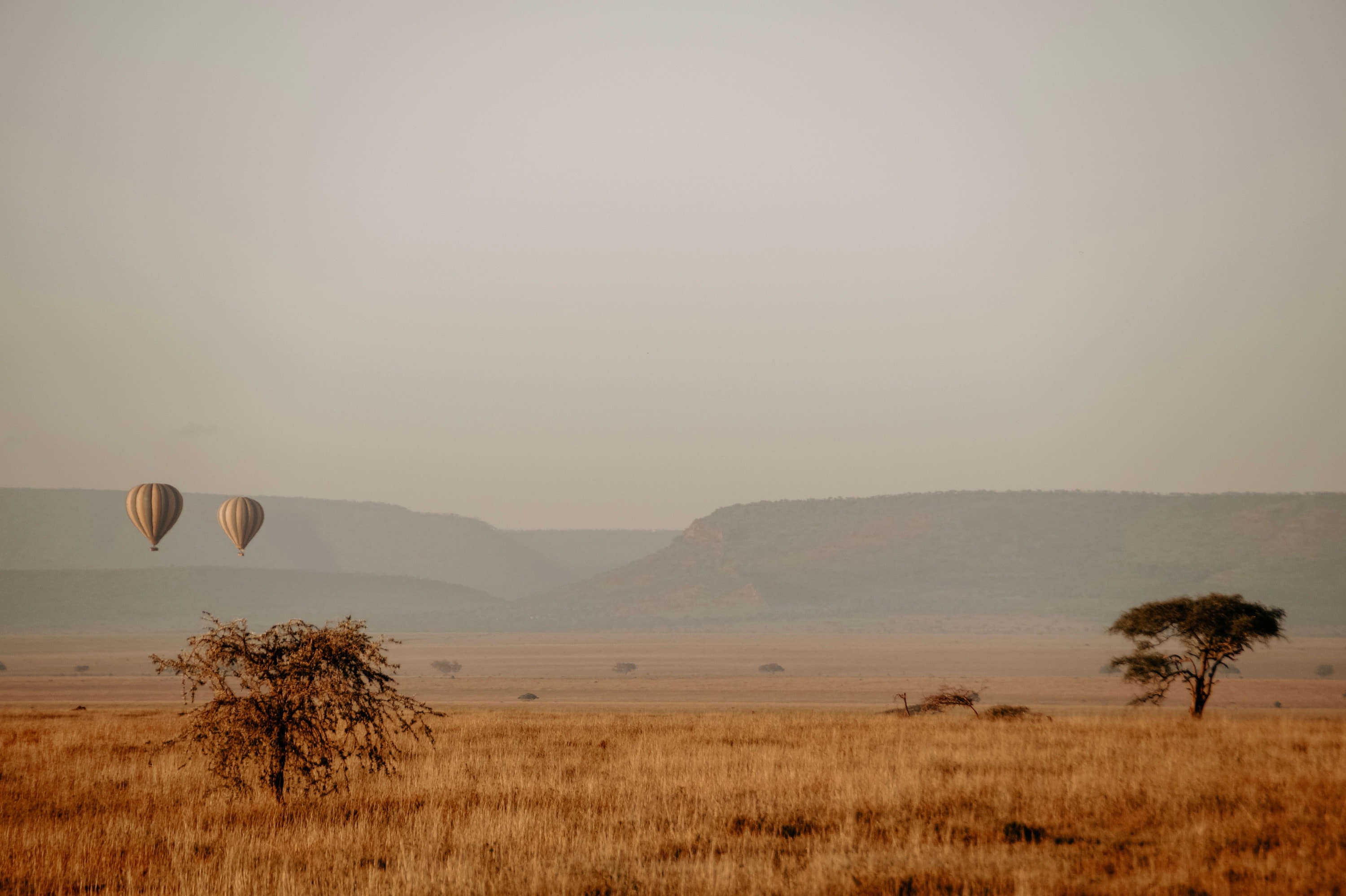 Hot air balloons drifting over the Serengeti plains at sunrise, Tanzania